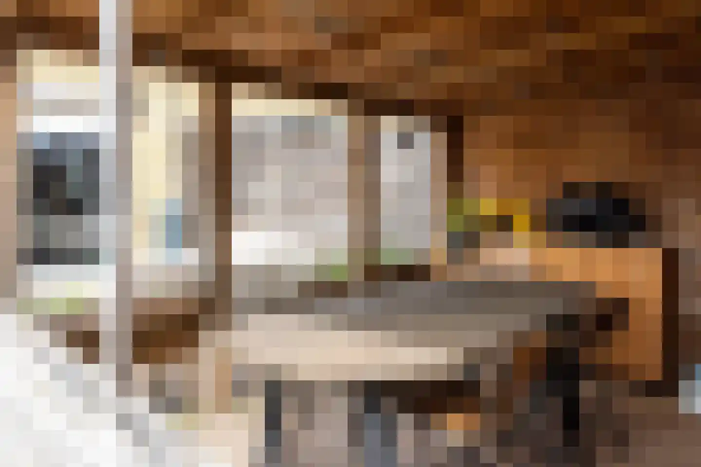 E A Borgerstraat 56 Joure thumbnail 30