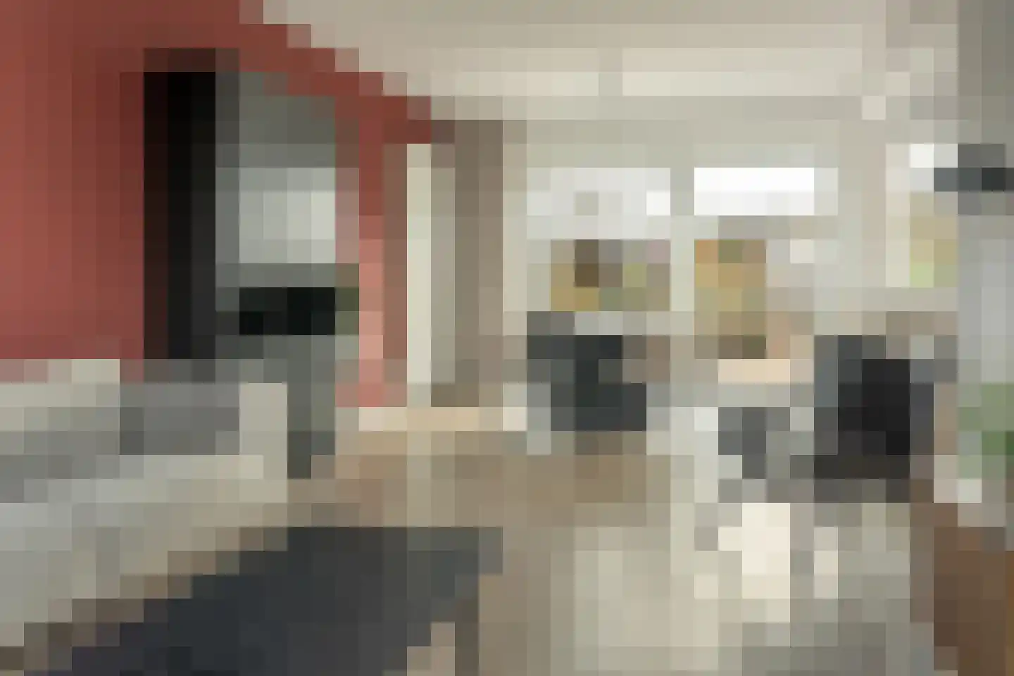 E A Borgerstraat 56 Joure thumbnail 8