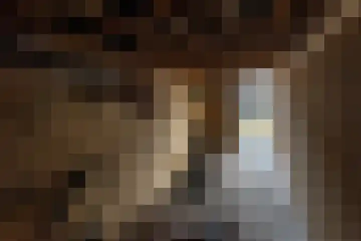 E A Borgerstraat 90 Joure thumbnail 30