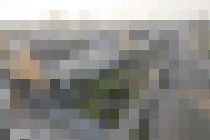 E A Borgerstraat 90 Joure thumbnail 6