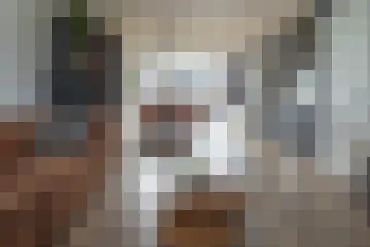 E A Borgerstraat 90 Joure thumbnail 8