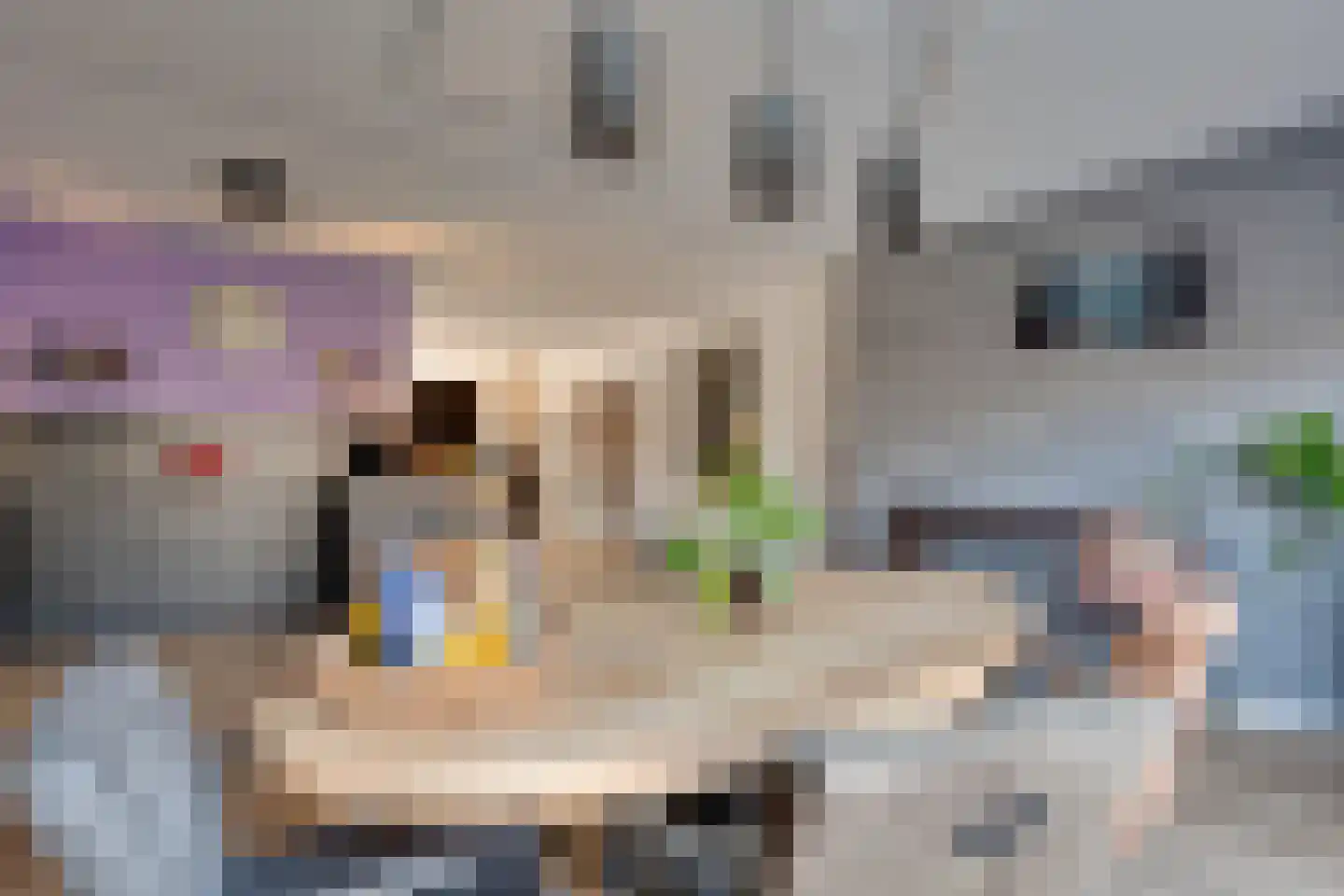 E.B. von Dülmen Krumpelmannstraat 2 Assen thumbnail 12