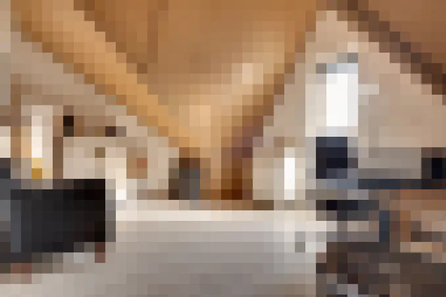 E.B. von Dülmen Krumpelmannstraat 2 Assen thumbnail 29