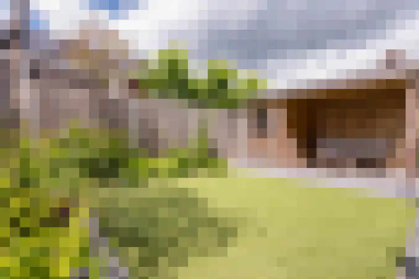 E.B. von Dülmen Krumpelmannstraat 2 Assen thumbnail 31