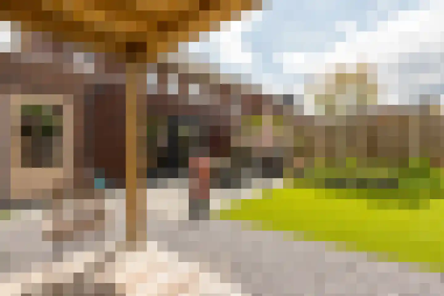 E.B. von Dülmen Krumpelmannstraat 2 Assen thumbnail 32