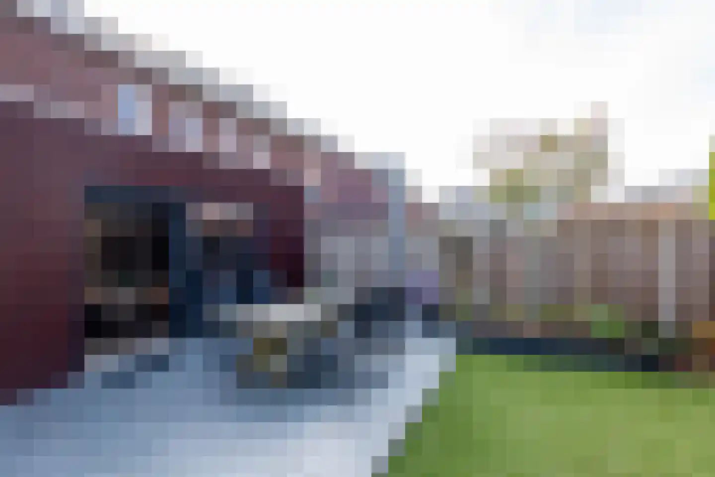 E.B. von Dülmen Krumpelmannstraat 2 Assen thumbnail 32
