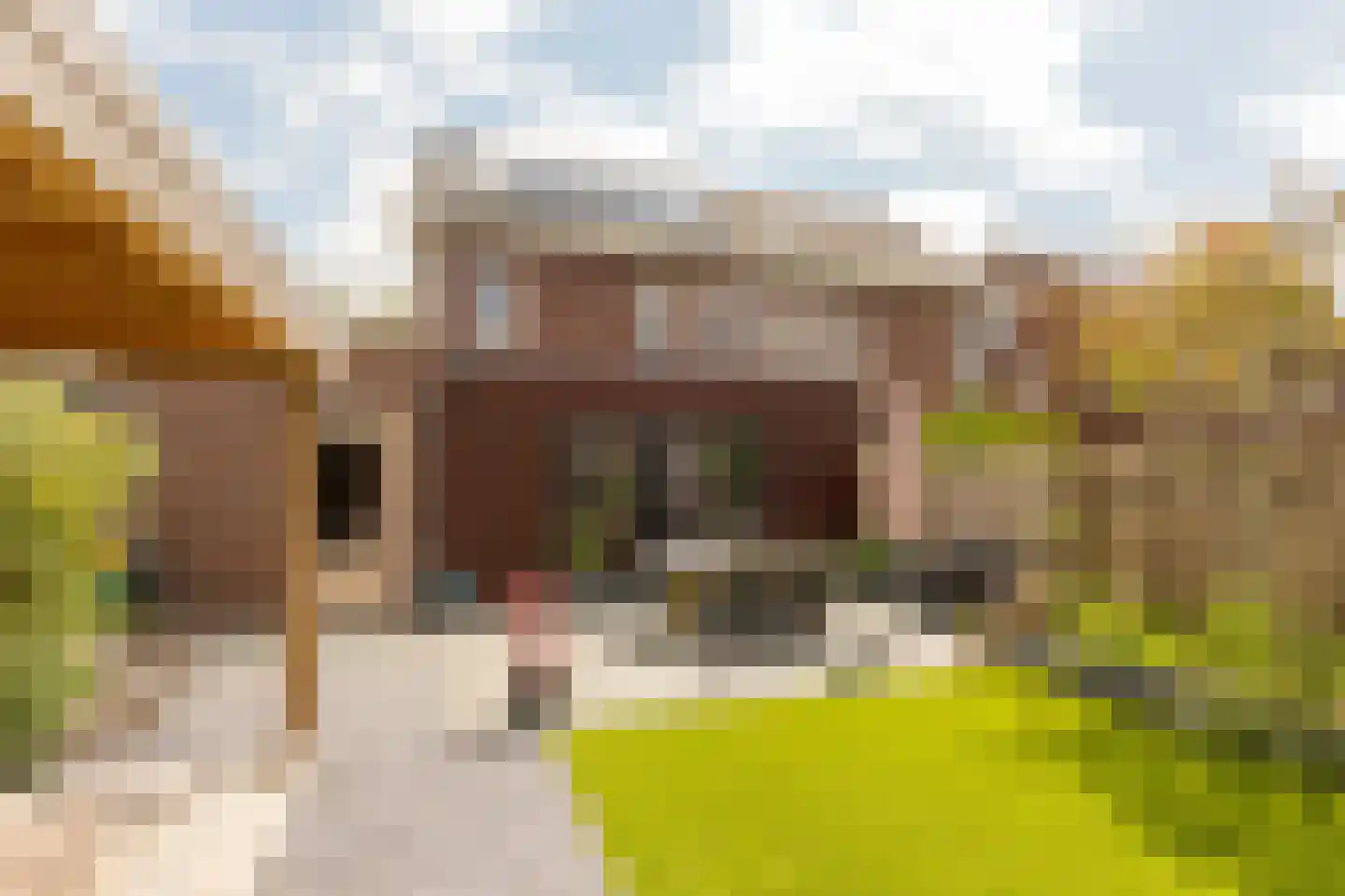 E.B. von Dülmen Krumpelmannstraat 2 Assen thumbnail 33