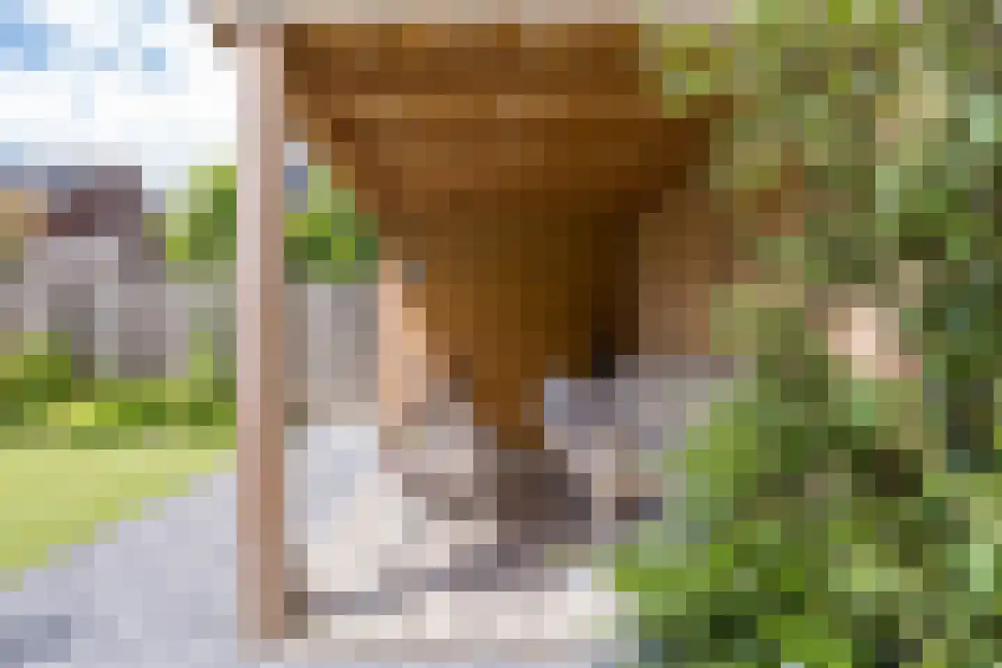 E.B. von Dülmen Krumpelmannstraat 2 Assen thumbnail 35