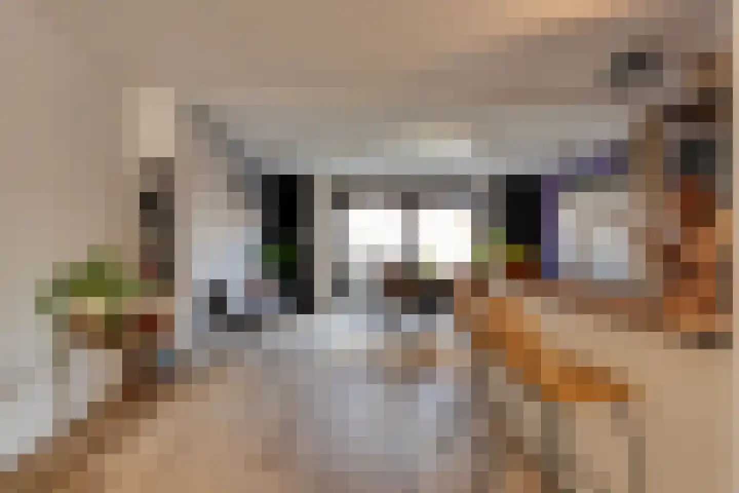 E.B. von Dülmen Krumpelmannstraat 2 Assen thumbnail 7