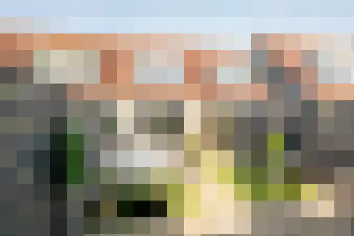 E.C.de Greefhof 17 Garderen thumbnail 22