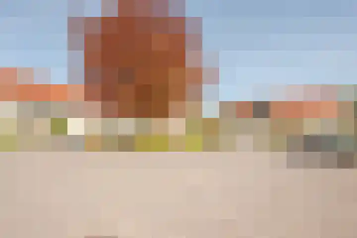 E.C.de Greefhof 17 Garderen thumbnail 28