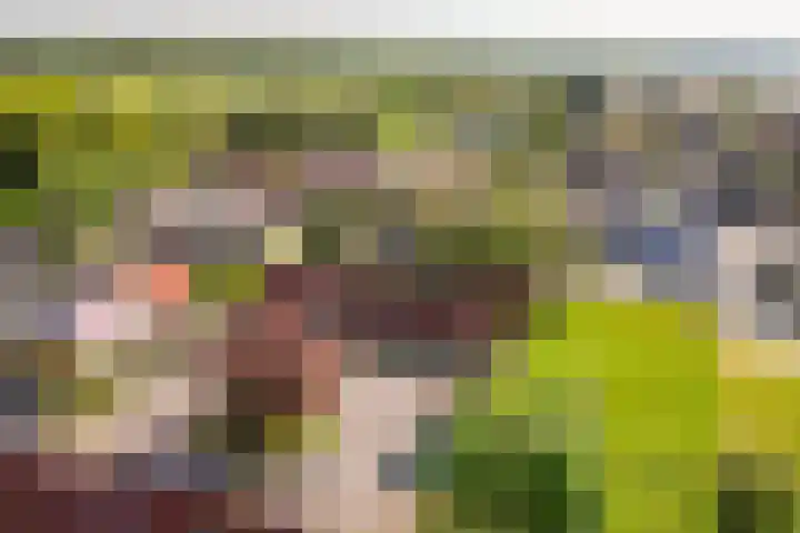 E.C.de Greefhof 17 Garderen thumbnail 30