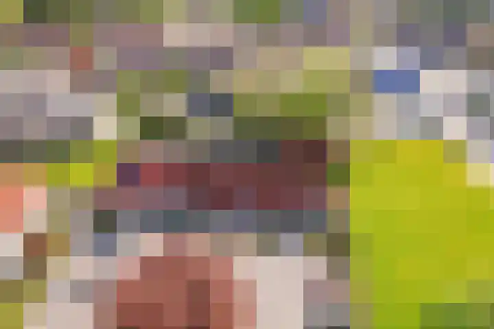 E.C.de Greefhof 17 Garderen thumbnail 32