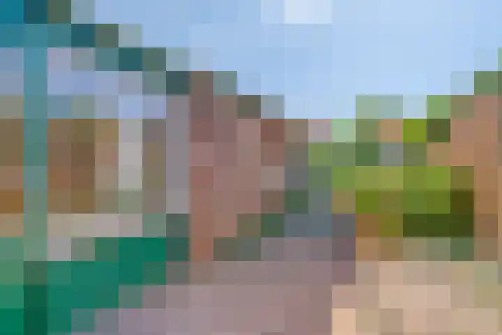 E.D. van den Broeckestraat 11 Oostkapelle thumbnail 4