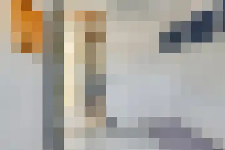 E.D. van den Broeckestraat 25 Oostkapelle thumbnail 25