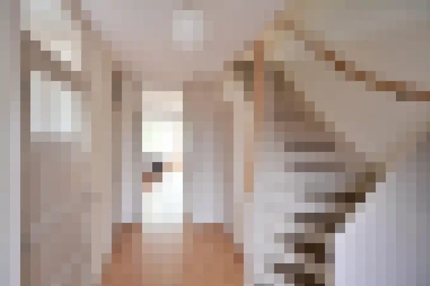 E. de Bruynstraat 43 Naarden thumbnail 7