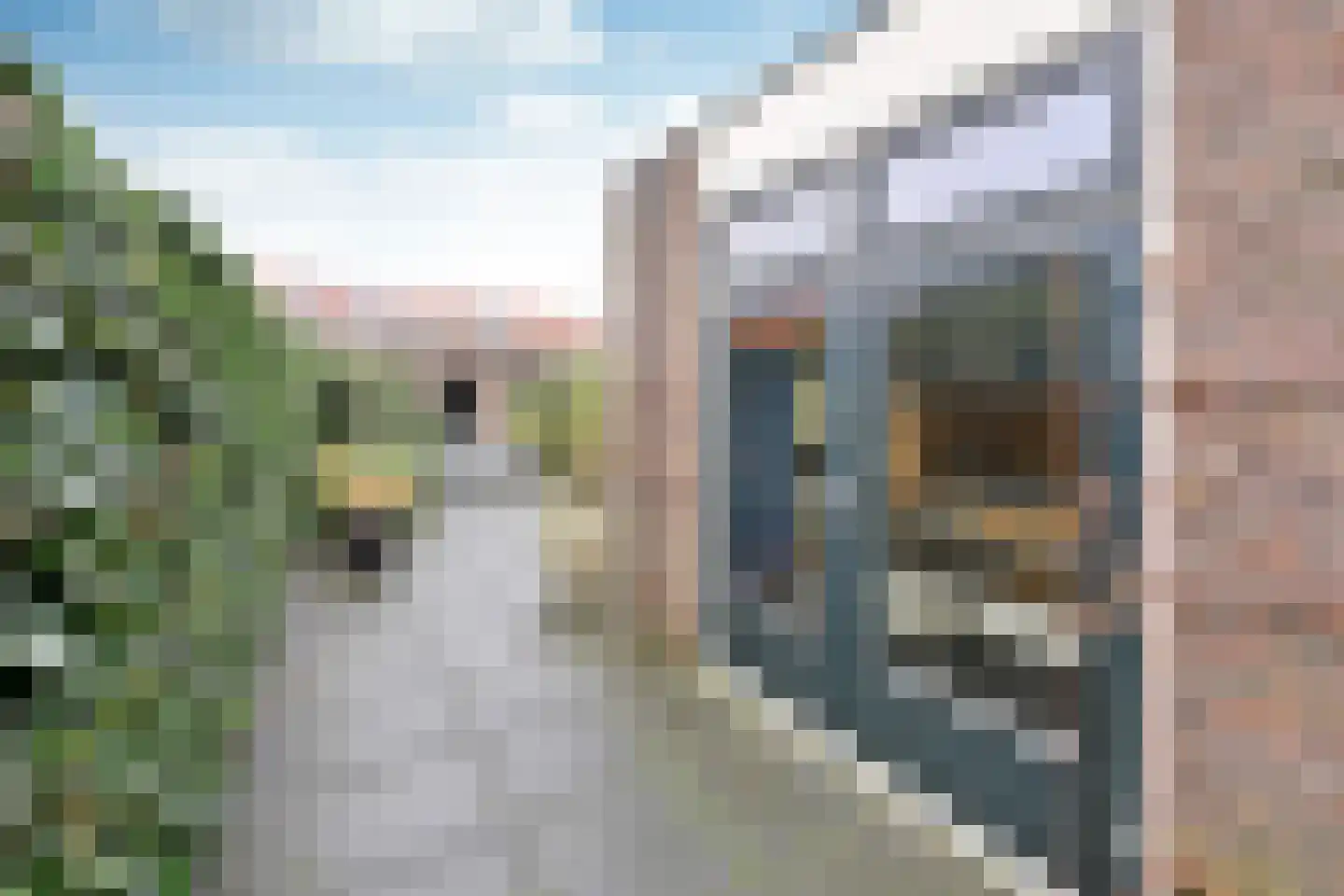 E. de Bruynstraat 81 Naarden thumbnail 15