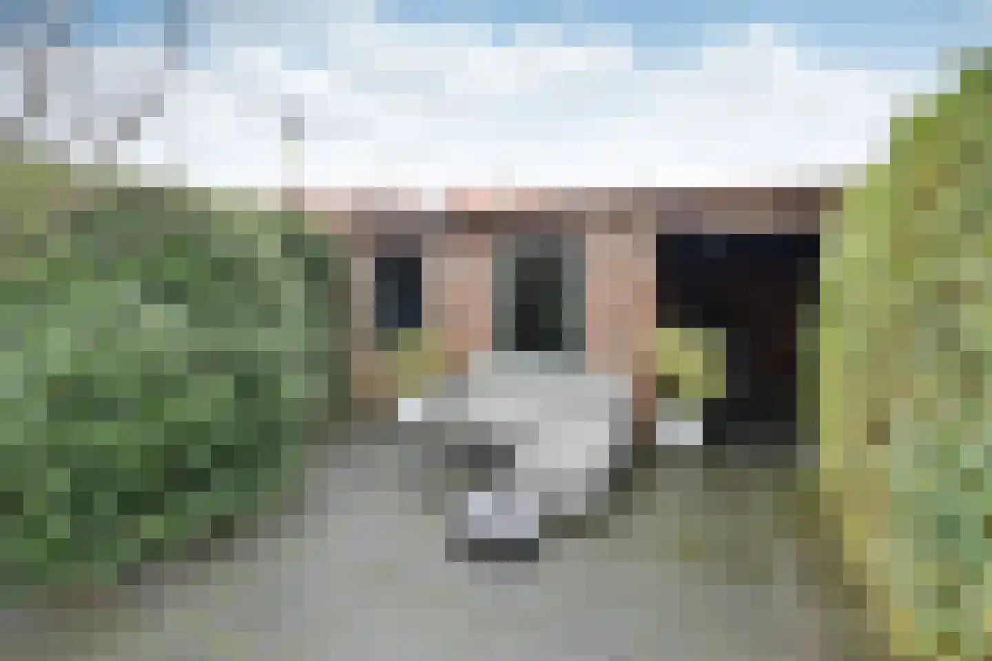 E. de Bruynstraat 81 Naarden thumbnail 19