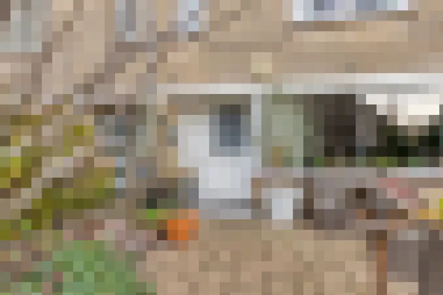 E. Doetshof 35 Purmerend thumbnail 7