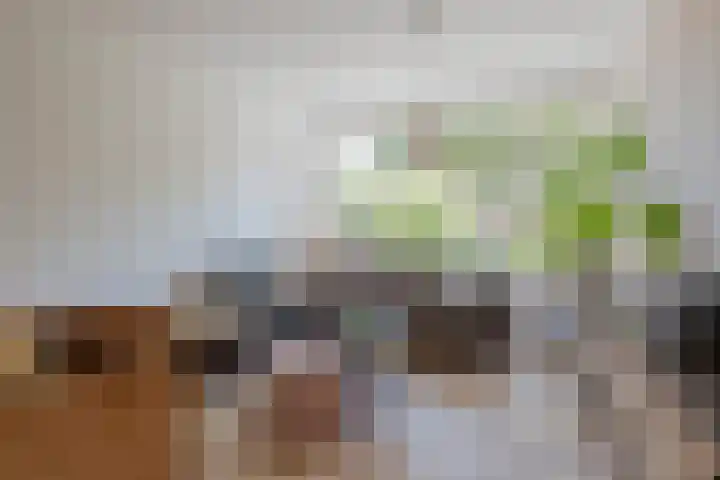 E Dorsstraat 15 Grubbenvorst thumbnail 10