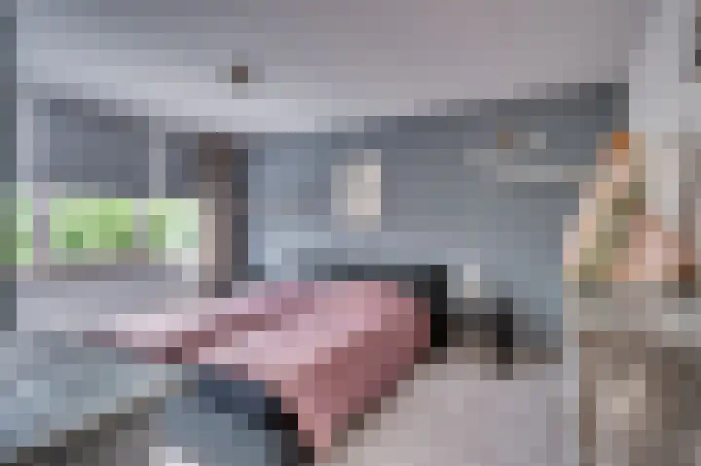 E Dorsstraat 28 Grubbenvorst thumbnail 27