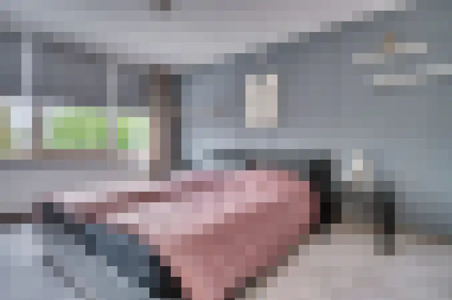 E Dorsstraat 28 Grubbenvorst thumbnail 28