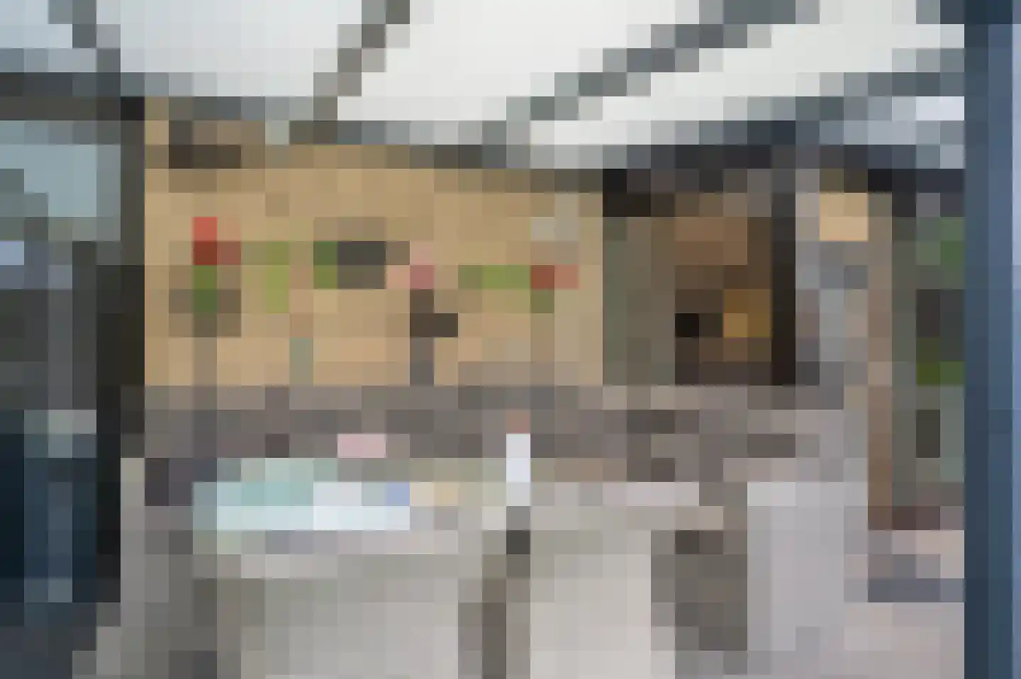 E Dorsstraat 28 Grubbenvorst thumbnail 49