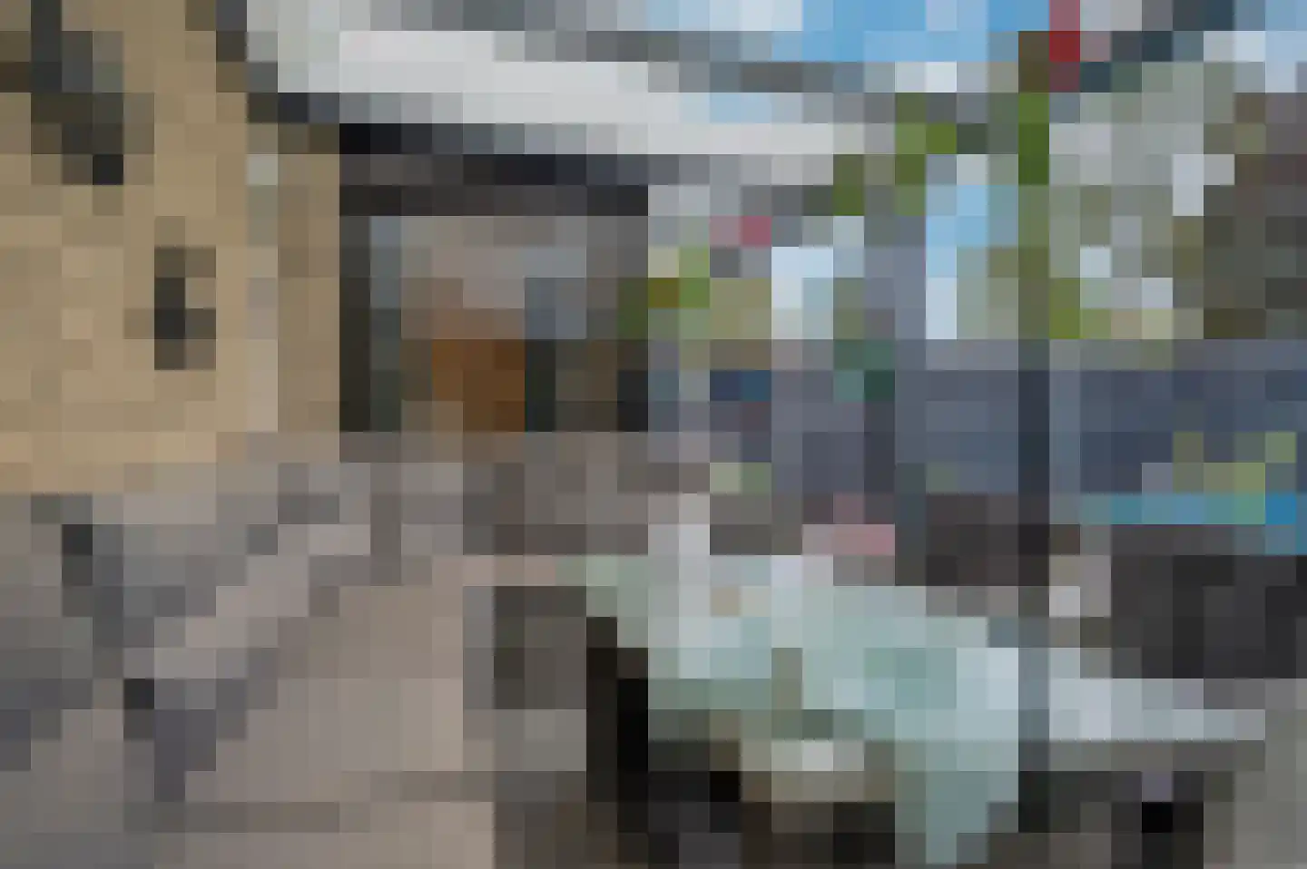 E Dorsstraat 28 Grubbenvorst thumbnail 50