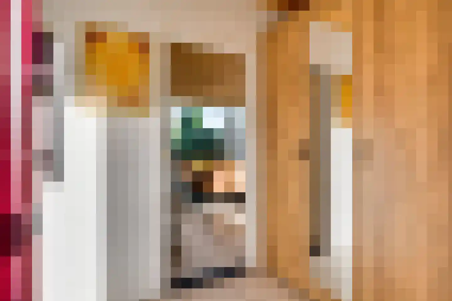 E Dorsstraat 54 Grubbenvorst thumbnail 9