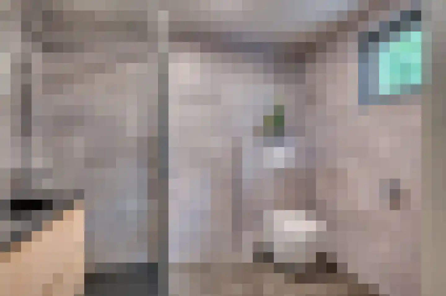 E Dorsstraat 72 Grubbenvorst thumbnail 18
