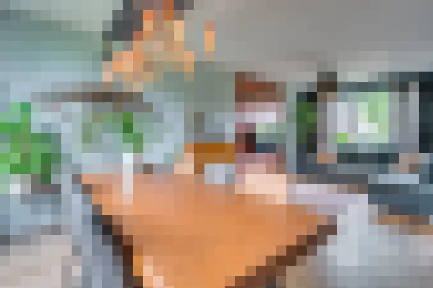 E Dorsstraat 72 Grubbenvorst thumbnail 7