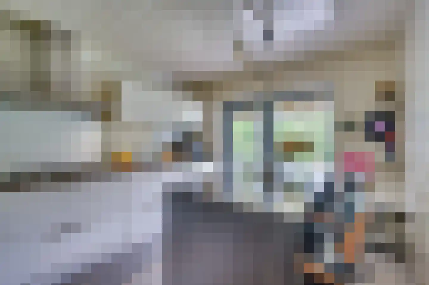 E Dorsstraat 72 Grubbenvorst thumbnail 8
