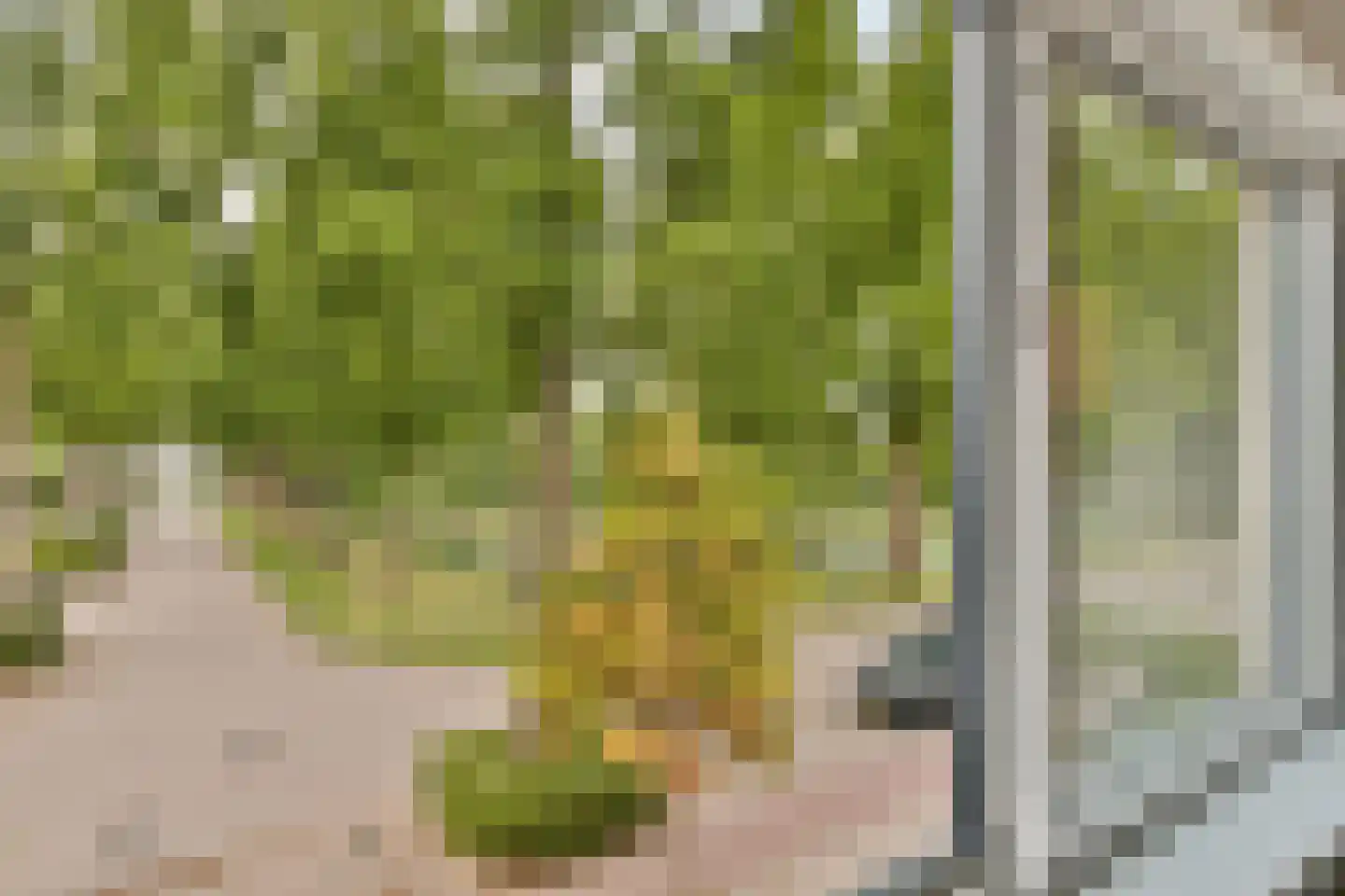 E. du Perronstraat 25 Almere thumbnail 30