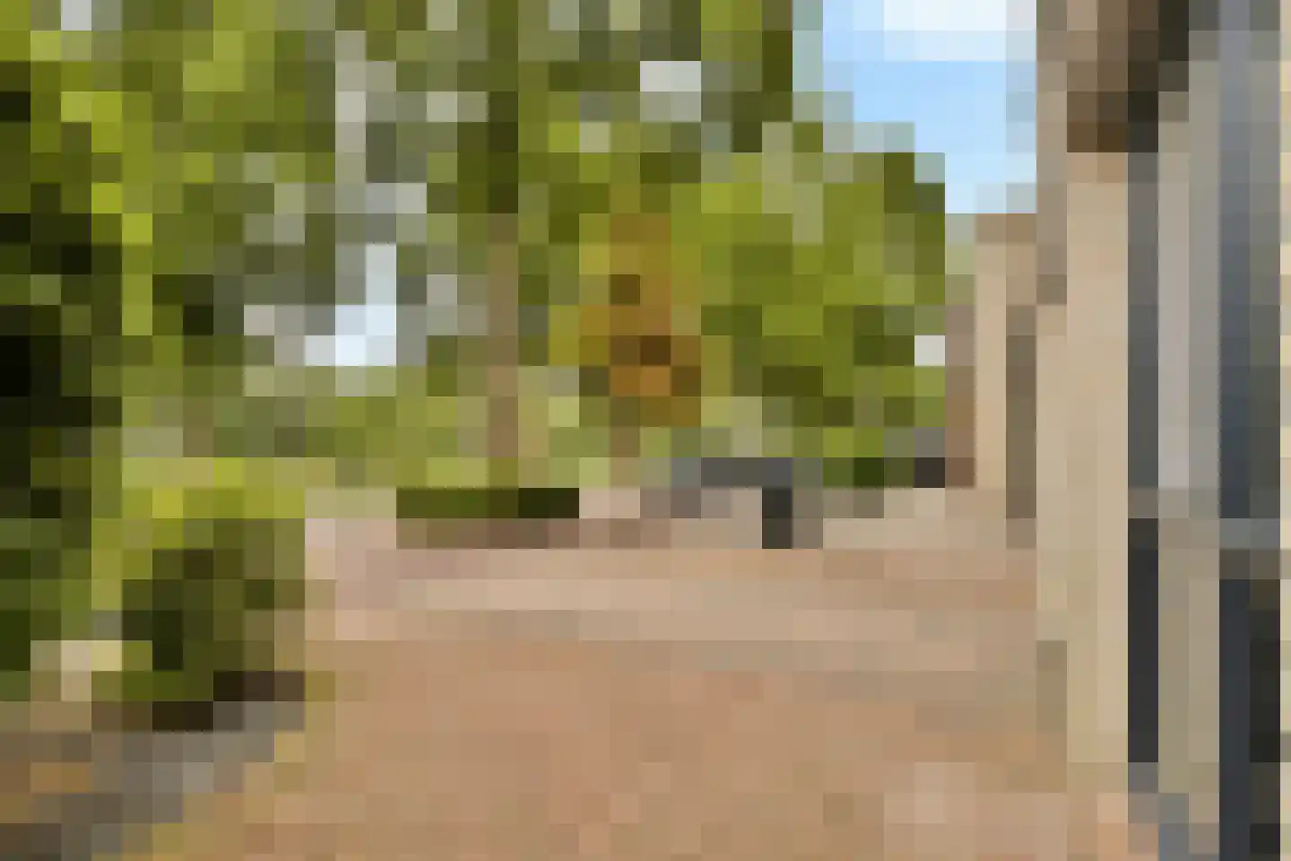 E. du Perronstraat 25 Almere thumbnail 4