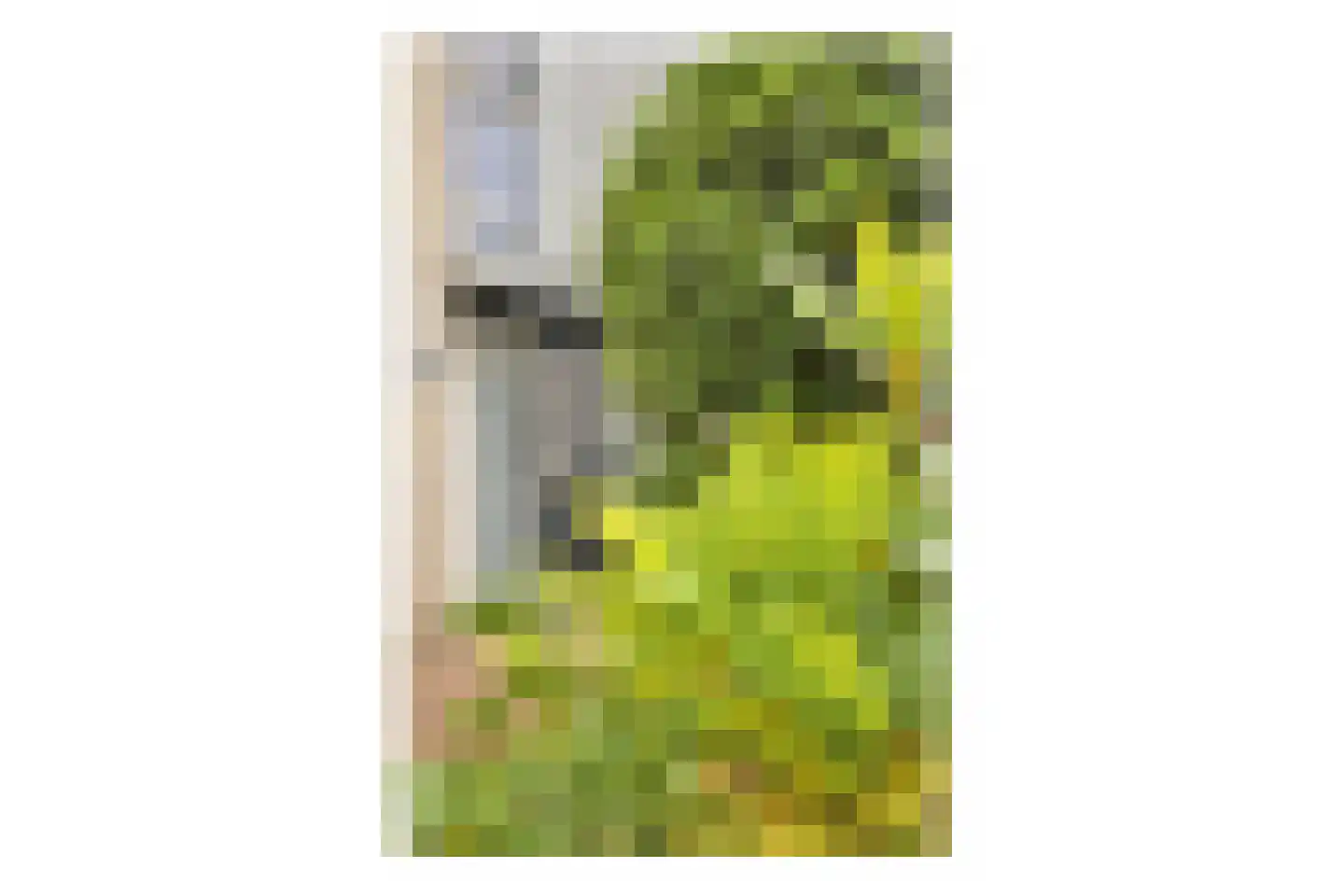 E. du Perronstraat 25 Almere thumbnail 8