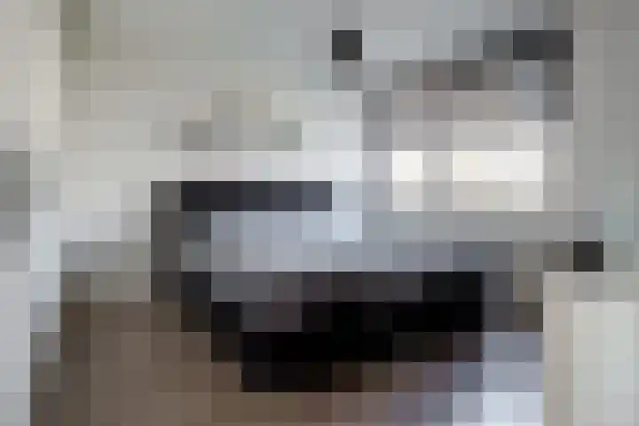 E. du Perronstraat 3 Hengelo thumbnail 18
