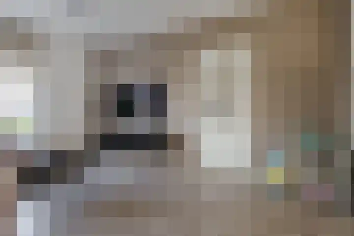 E. du Perronstraat 3 Hengelo thumbnail 6