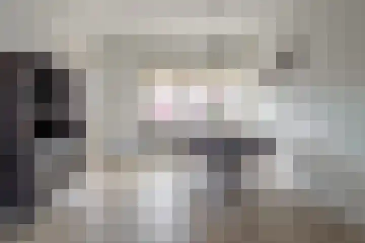 E. du Perronstraat 3 Hengelo thumbnail 8