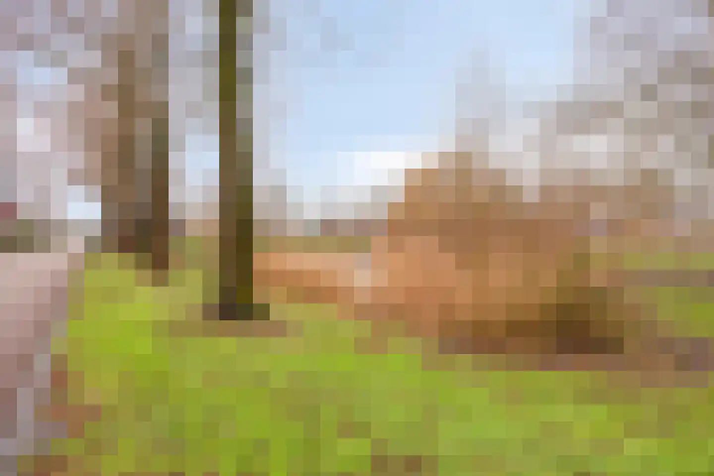 E. du Perronstraat 34 Almere thumbnail 40
