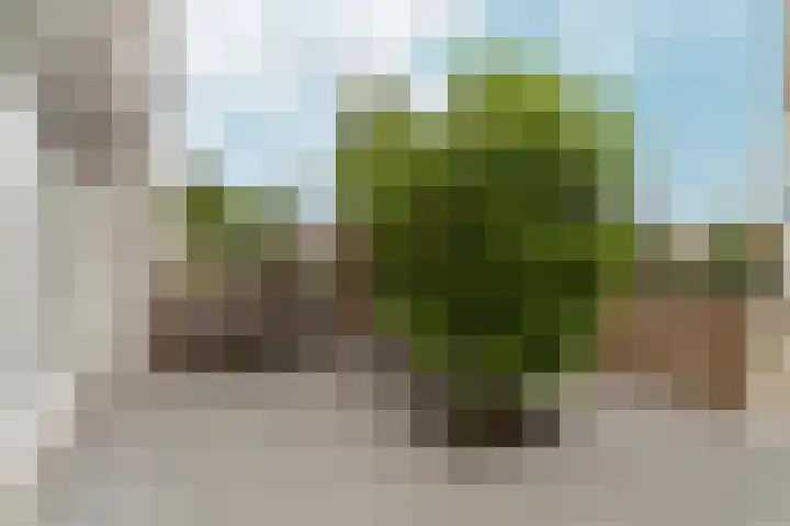 E. du Perronstraat 52 Almere thumbnail 7