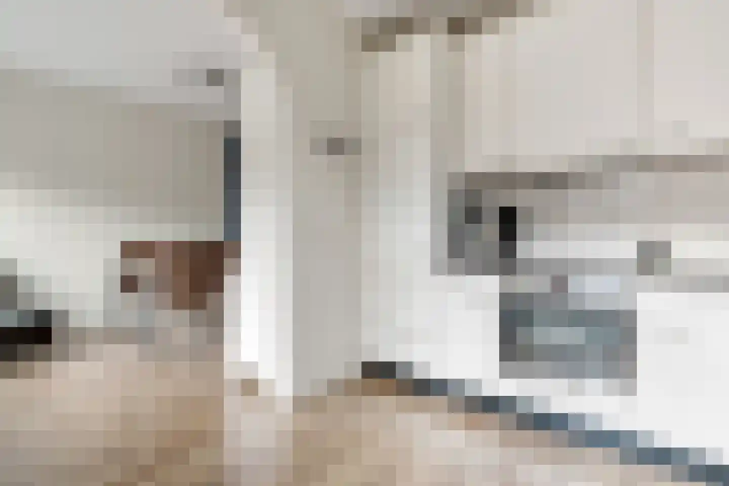 E. du Perronstraat 7 Hengelo thumbnail 15