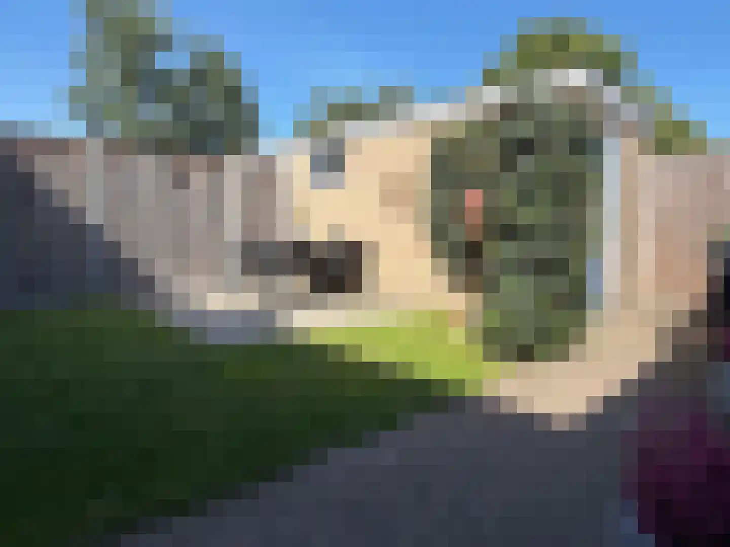 E E G laan 15 Coevorden thumbnail 13