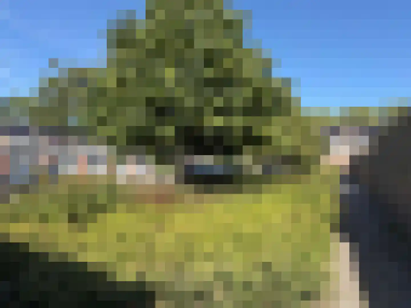 E E G laan 15 Coevorden thumbnail 14