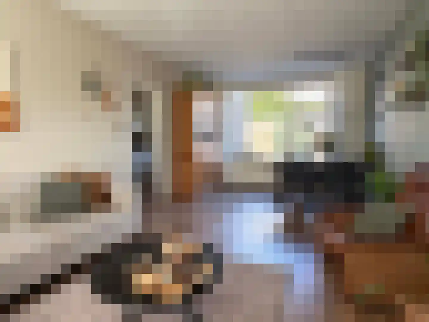 E E G laan 15 Coevorden thumbnail 16