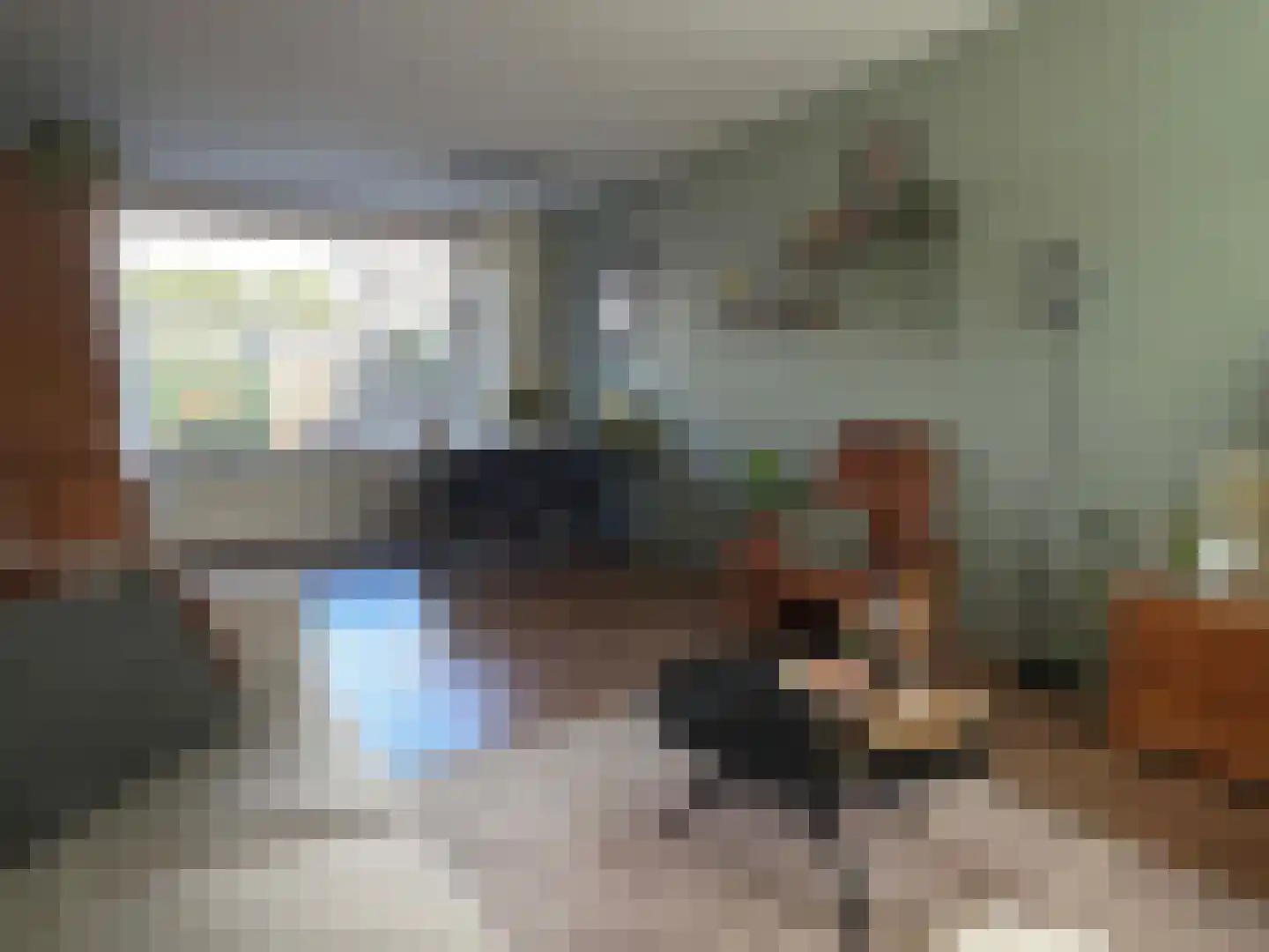 E E G laan 15 Coevorden thumbnail 17