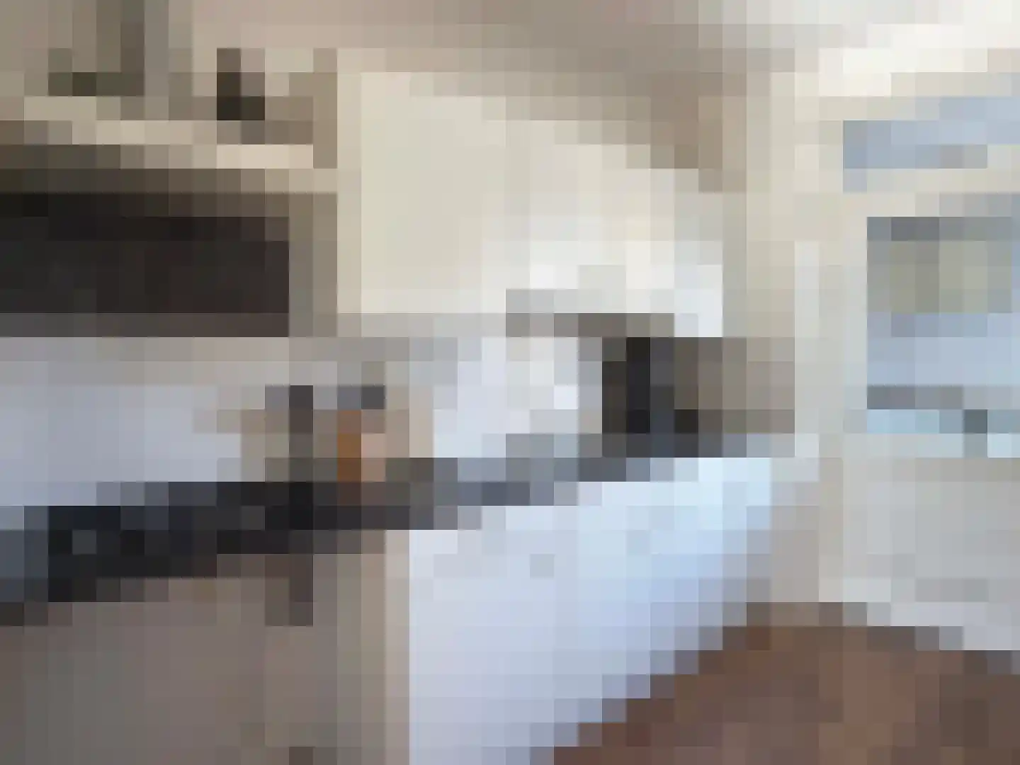 E E G laan 15 Coevorden thumbnail 18