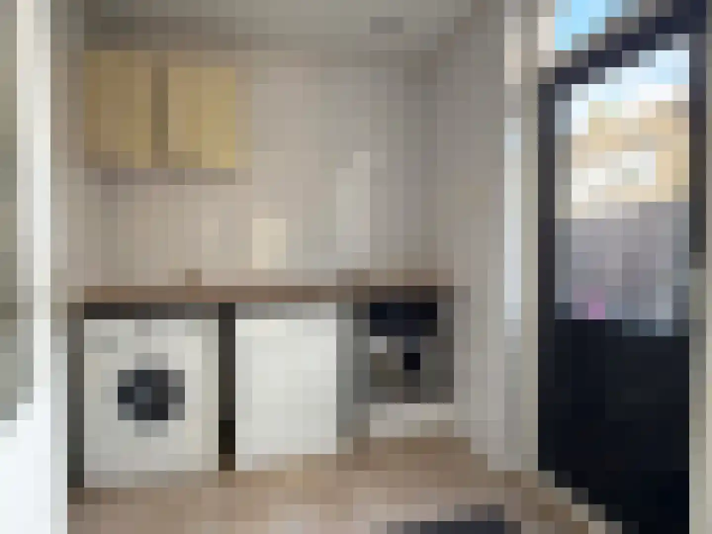 E E G laan 15 Coevorden thumbnail 19