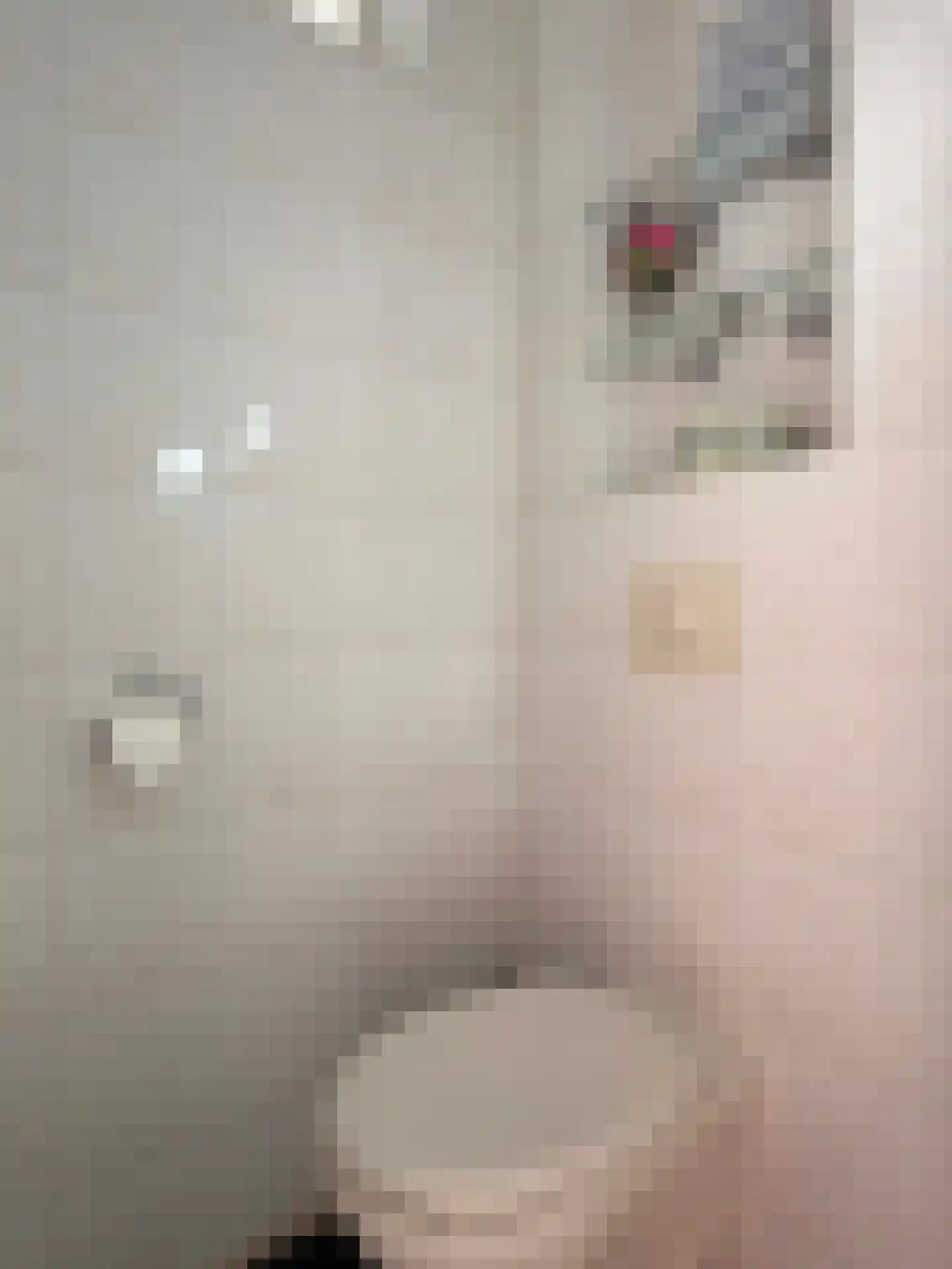 E E G laan 15 Coevorden thumbnail 21