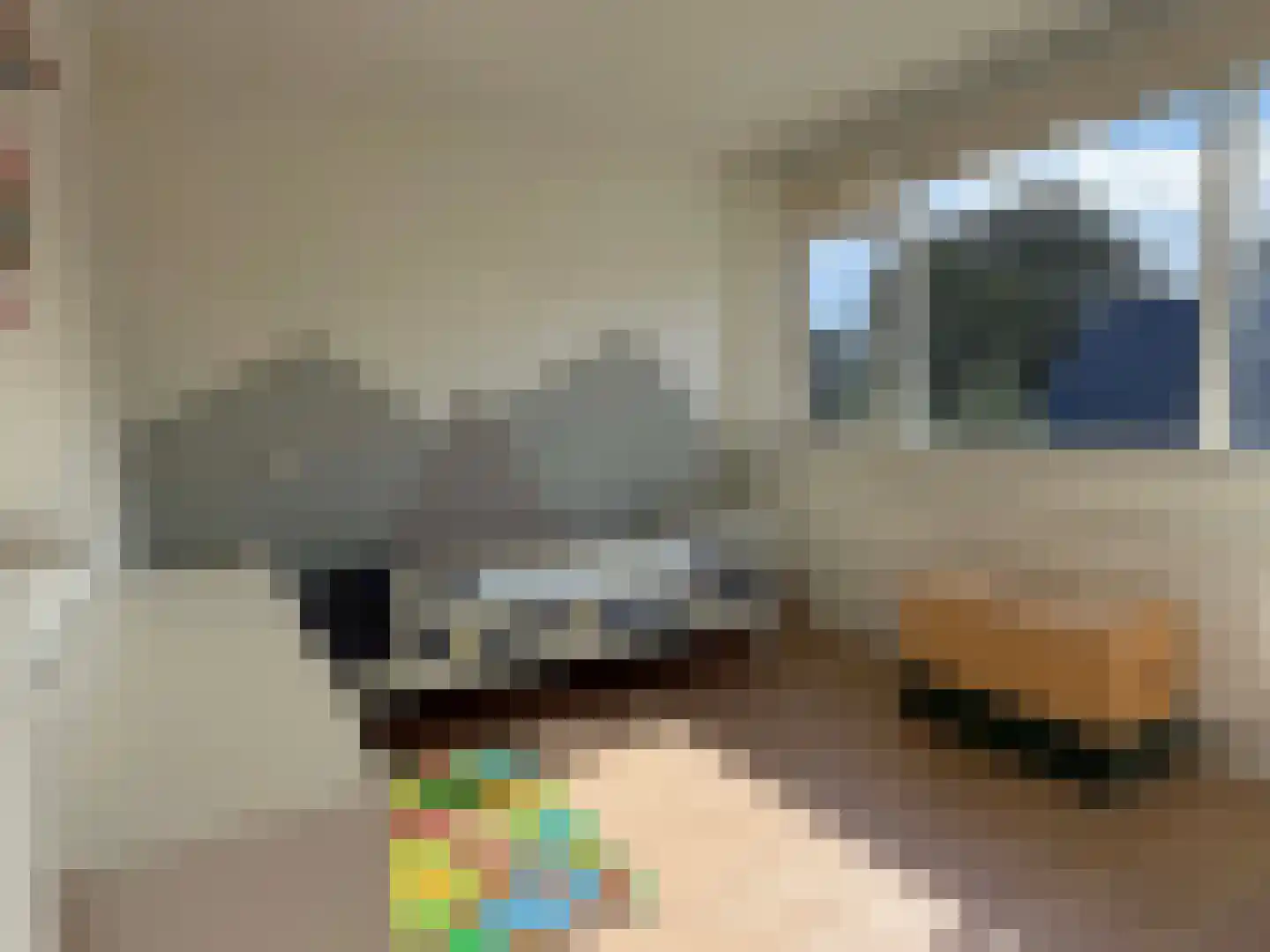 E E G laan 15 Coevorden thumbnail 23