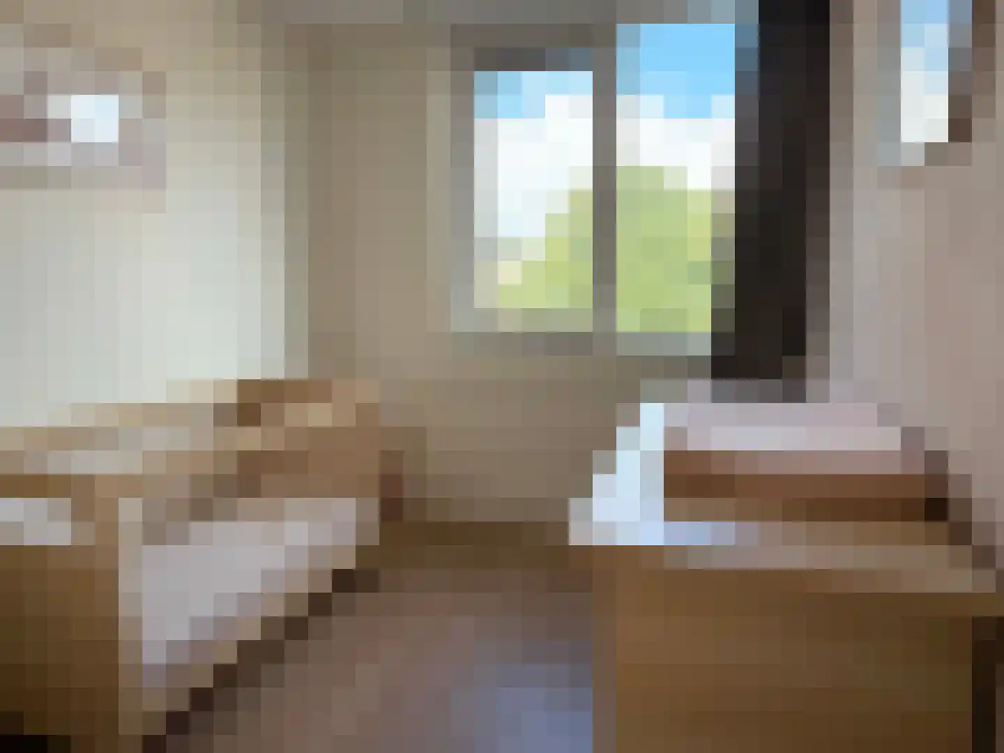 E E G laan 15 Coevorden thumbnail 24